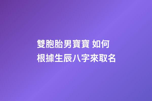雙胞胎男寶寶 如何根據生辰八字來取名
